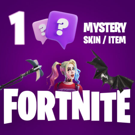 1 Mystery Fortnite Skin / Item PC Epic Games CD Key