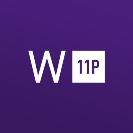 Windows 11 Professional OEM 10 Keys Bundle software